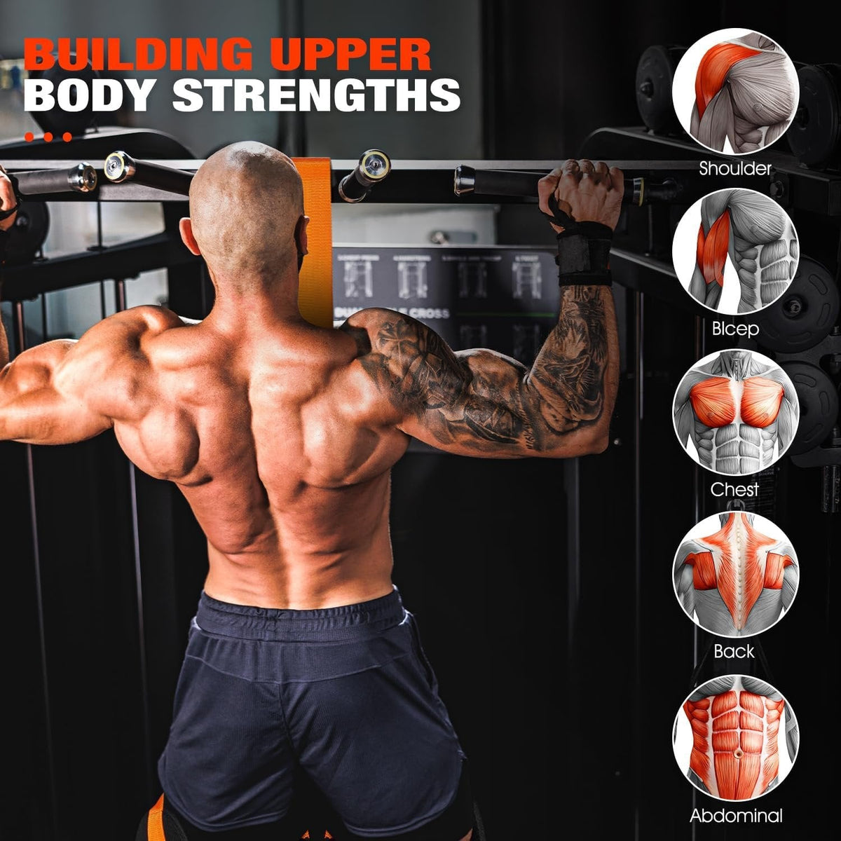 Pull-Up Assist Band