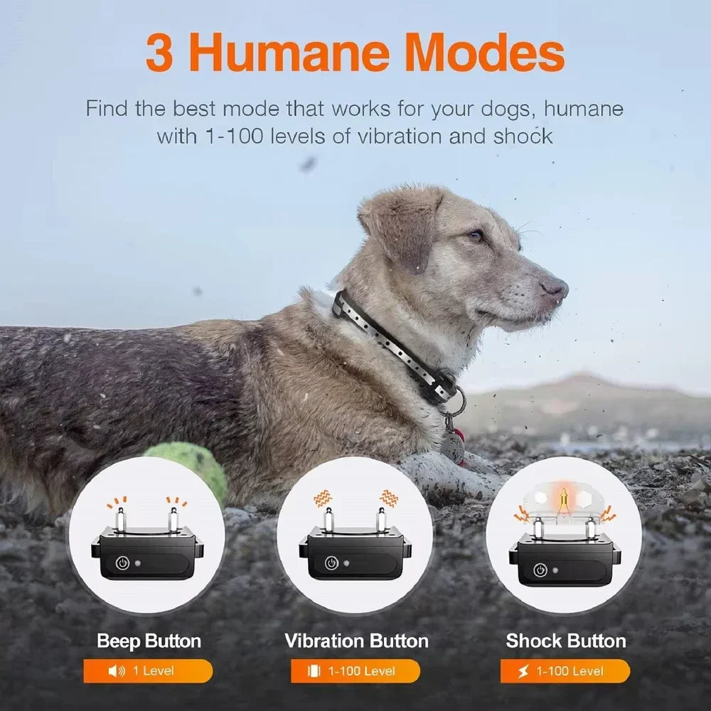 Rechargeable Electric Dog Training Collar with Remote and 1000 m Range