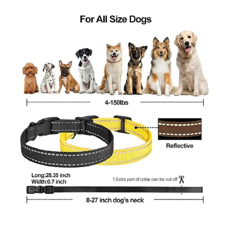 Rechargeable Electric Dog Training Collar with Remote and 1000 m Range