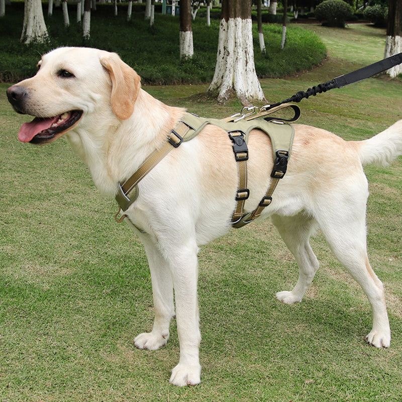 Reflective No-Pull Dog Harness – Escape-Proof and Adjustable