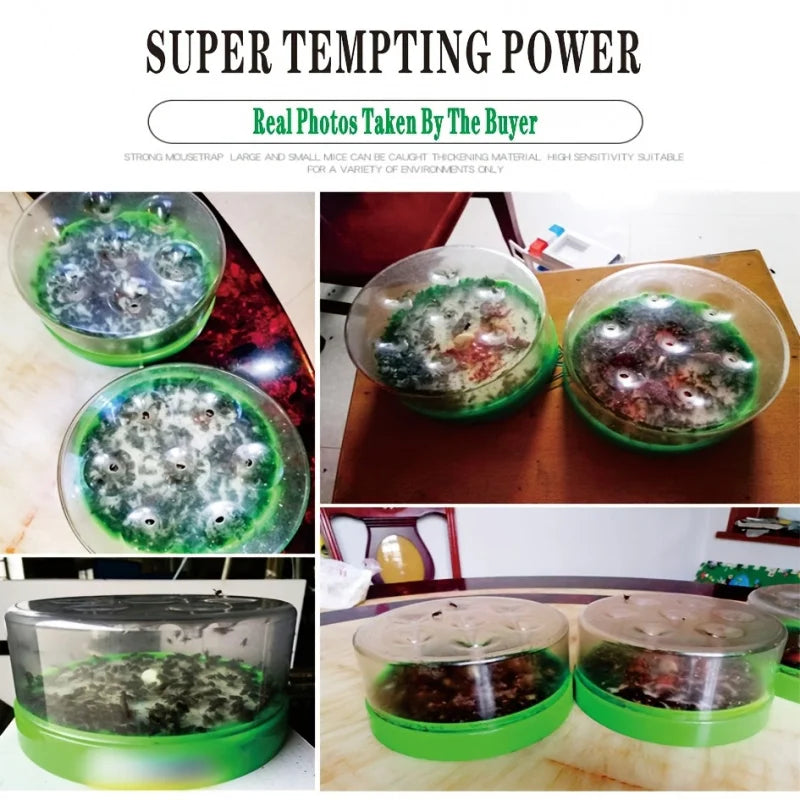Reusable & Non-Toxic Fly Trap with 7 Entrances - Non-Electric & Chemical-Free for Effective Fly Control