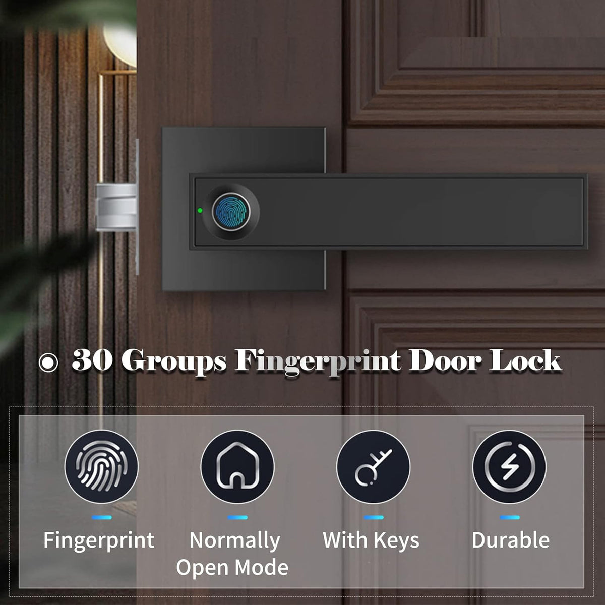 Smart Fingerprint Door Lever Lock with Key Access & 30 User Capacity