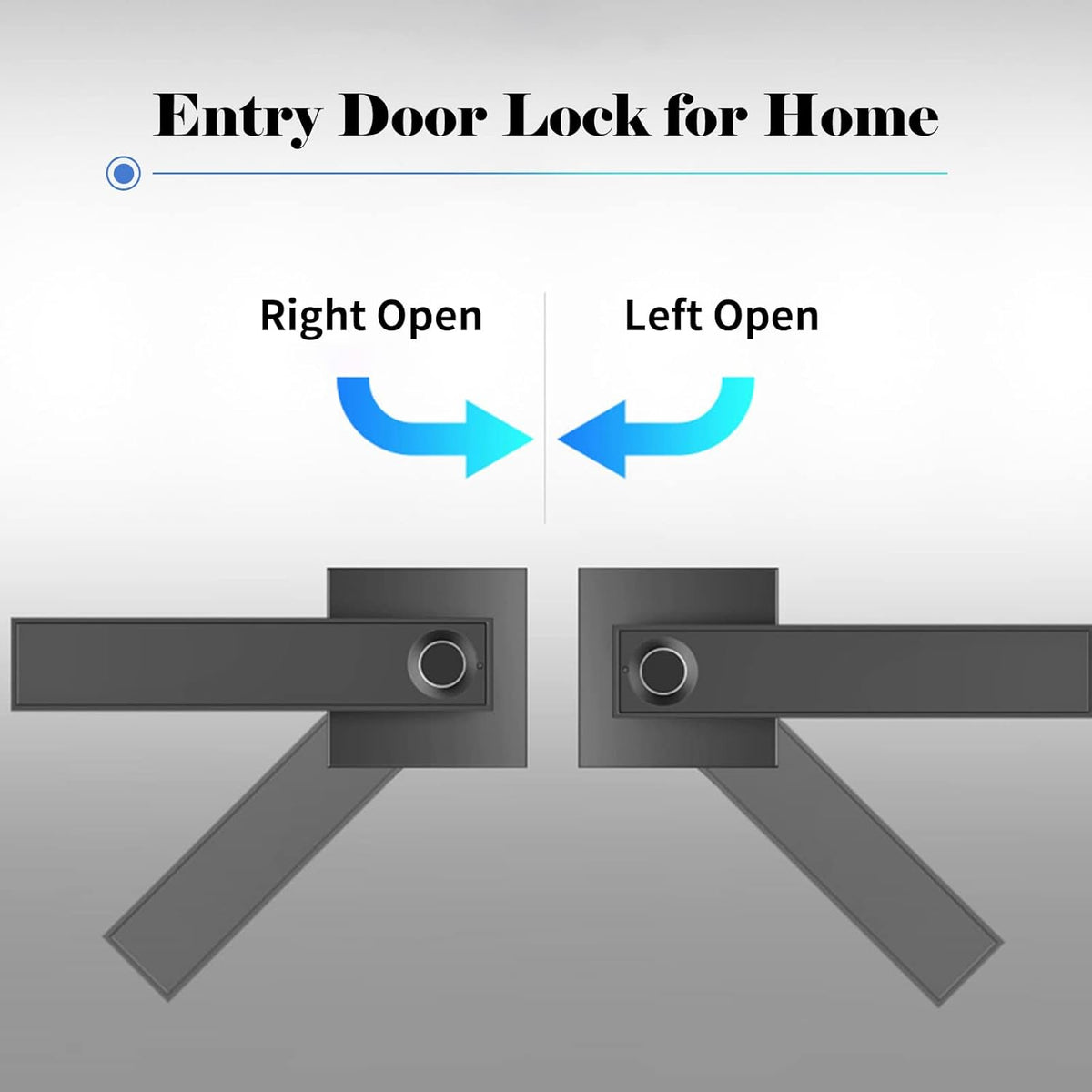 Smart Fingerprint Door Lever Lock with Key Access & 30 User Capacity