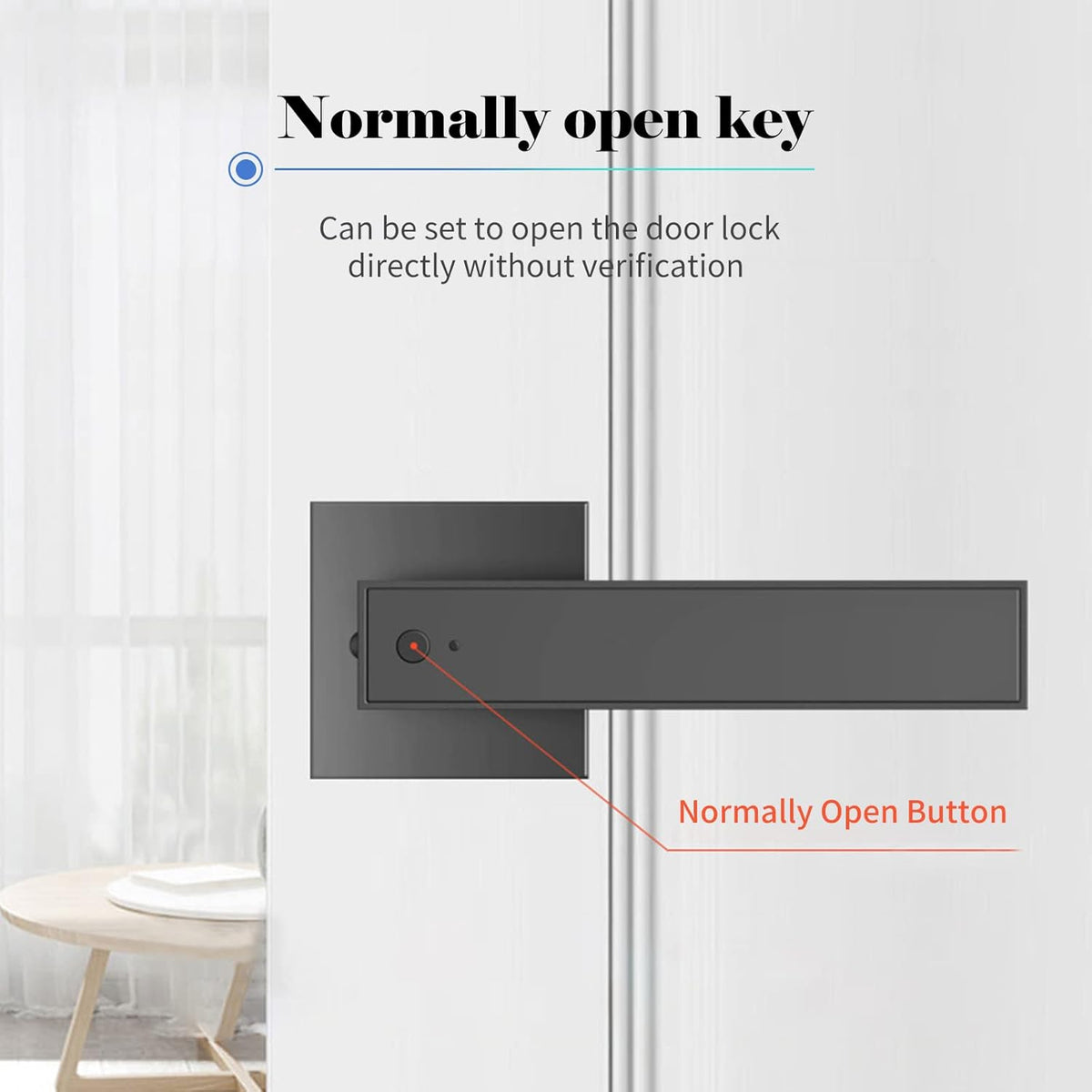 Smart Fingerprint Door Lever Lock with Key Access & 30 User Capacity