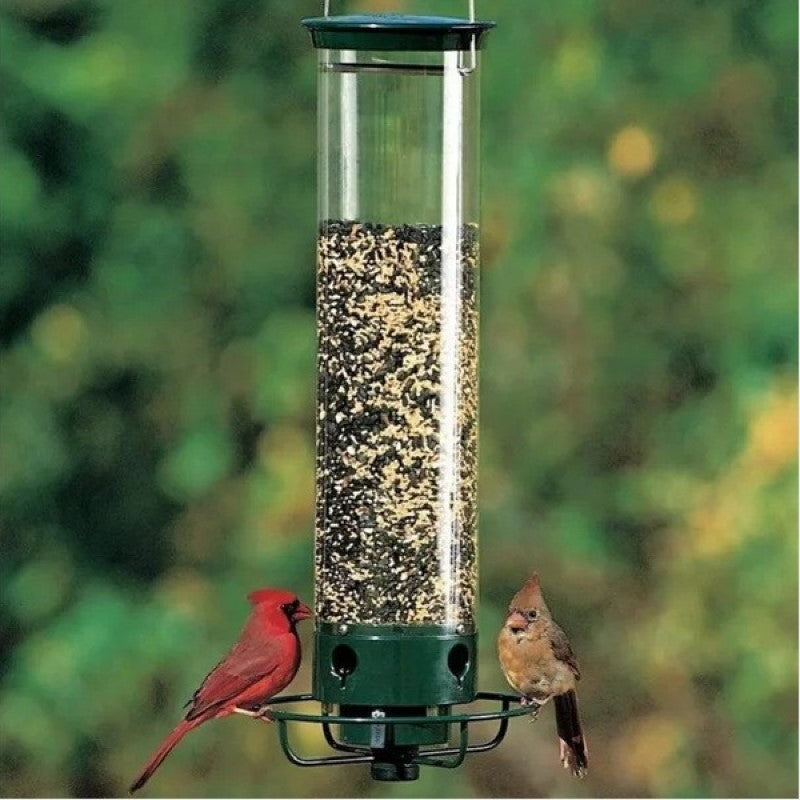 Squirrel-Proof Green Bird Feeder with Metal and Polycarbonate