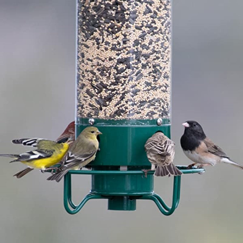 Squirrel-Proof Green Bird Feeder with Metal and Polycarbonate