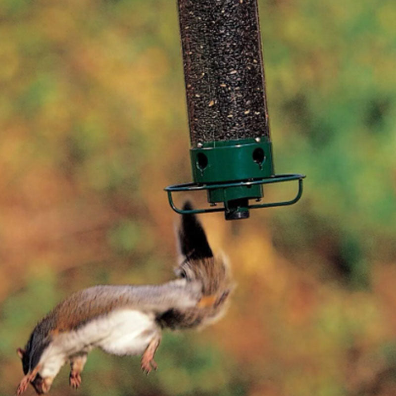 Squirrel-Proof Green Bird Feeder with Metal and Polycarbonate