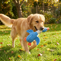 Tough Chew-Resistant Bird Dog Toy with Squeaker